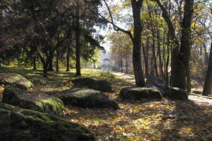 Парк Александрия